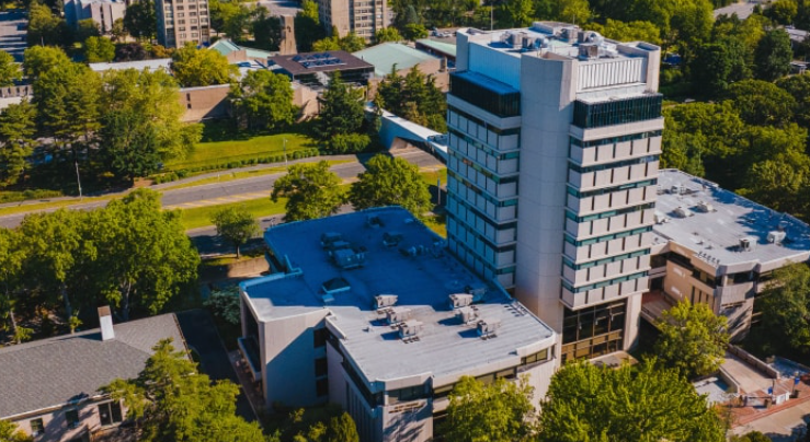 جامعة هوفسترا